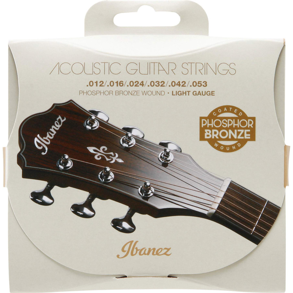 Ibanez IACSP6C String Set for 6 String Acoustic Guitar - Light