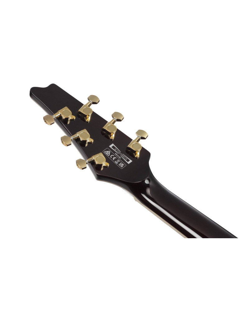 Ibanez IC420-AAB Iceman Electric Guitar 6-String - Antique Autumn Burst + Gig Bag