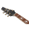 Ibanez IC420-AAB Iceman Electric Guitar 6-String - Antique Autumn Burst + Gig Bag