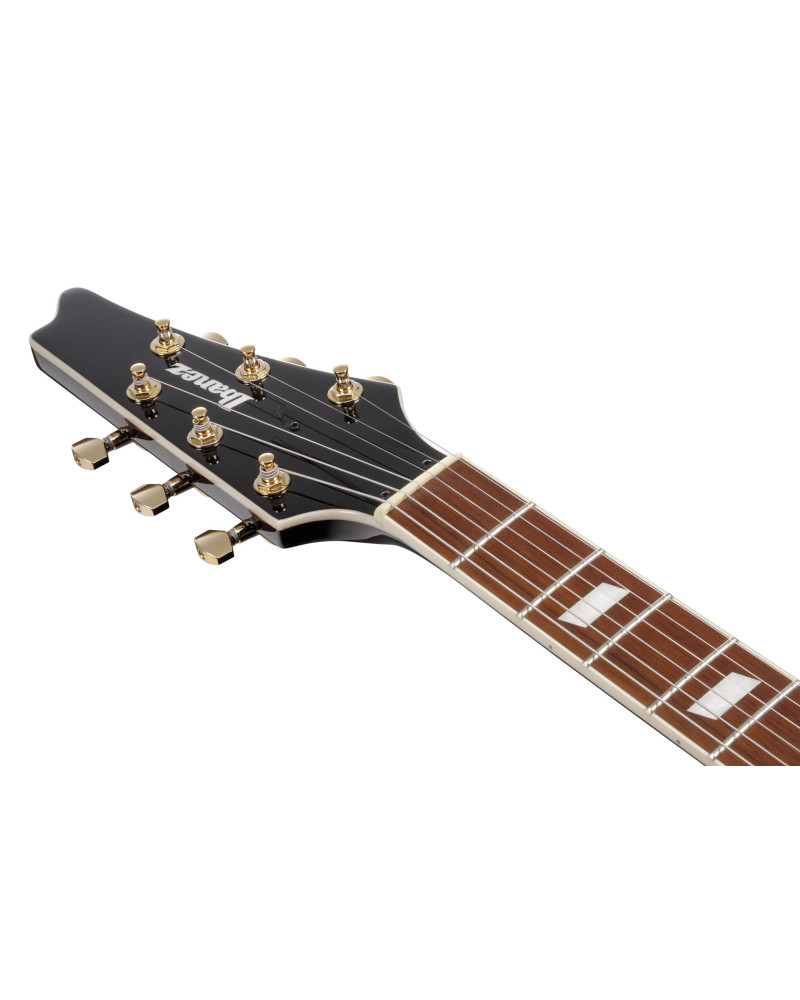 Ibanez IC420-AAB Iceman Electric Guitar 6-String - Antique Autumn Burst + Gig Bag