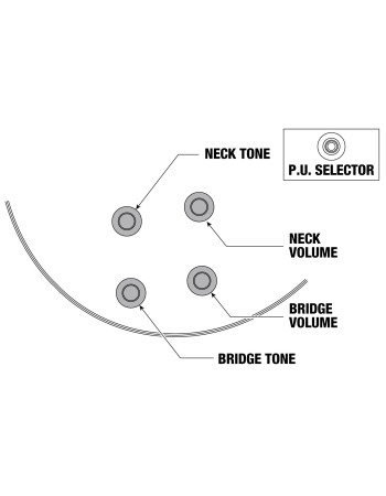 Ibanez IC420FM-VLS Iceman Electric Guitar 6-String - Violin Sunburst + Gig Bag