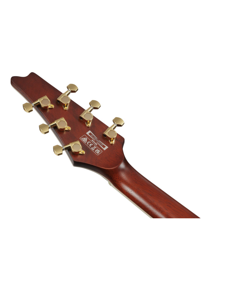 Ibanez IC420MFM-CML Iceman Electric Guitar 6-String - Caramel Burst Low Gloss + Gig Bag