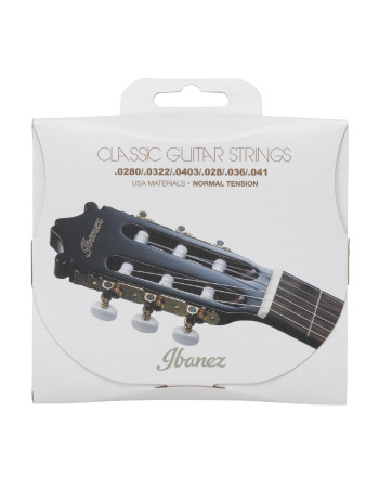 Ibanez ICLS6NT String Set for 6 String Acoustic Guitar - Normal