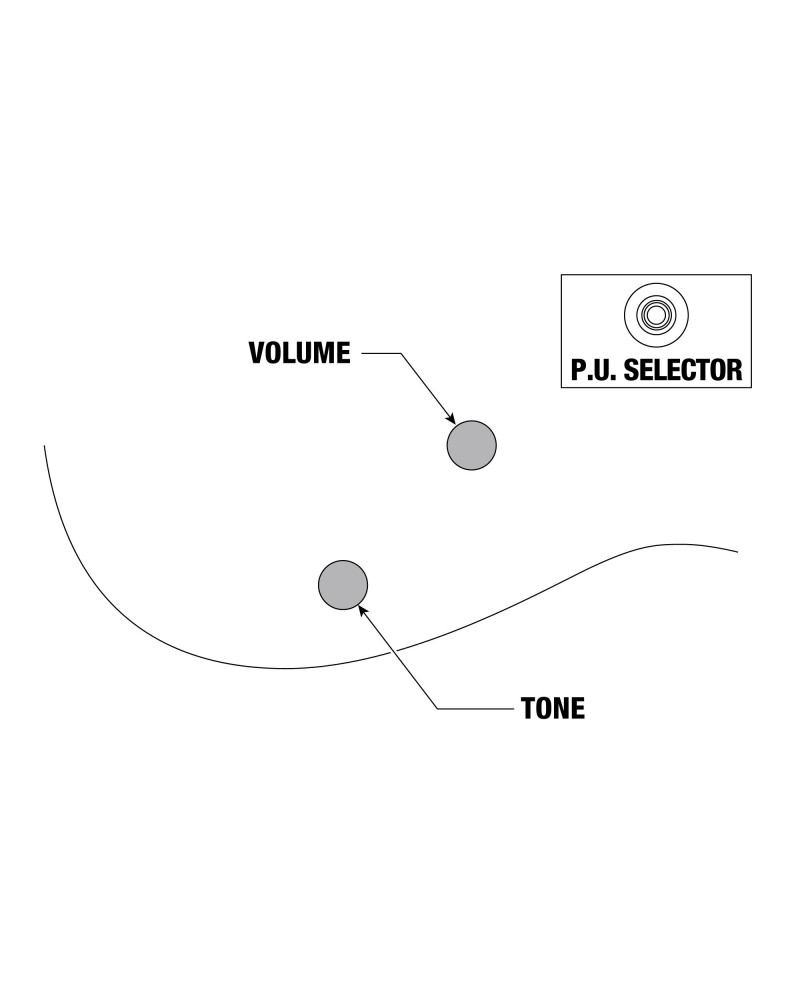 Ibanez ICTB721-BKF Iron Label Iceman Electric Guitar 7-String - Black Flat