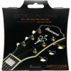 Ibanez IFAS6SL String Set for Artcore 6 String E-Guitar - Jazz Light