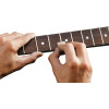 Ibanez IFC1000 Fret Shine & Brush Set - 3 pieces