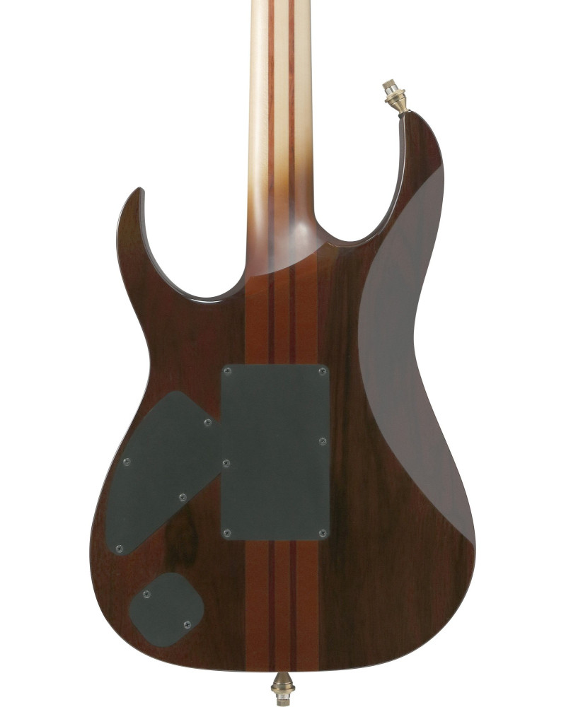 Ibanez IV1RG Visions RG Electric Guitar 6-String + Case