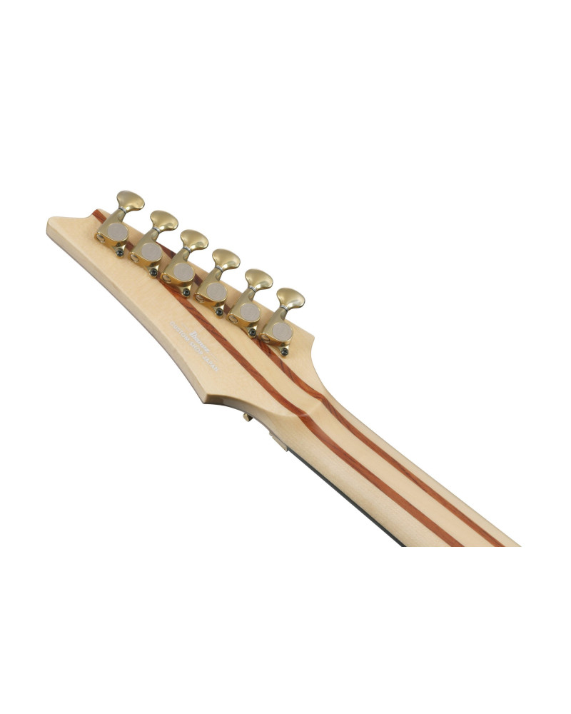 Ibanez IV1RG Visions RG Electric Guitar 6-String + Case