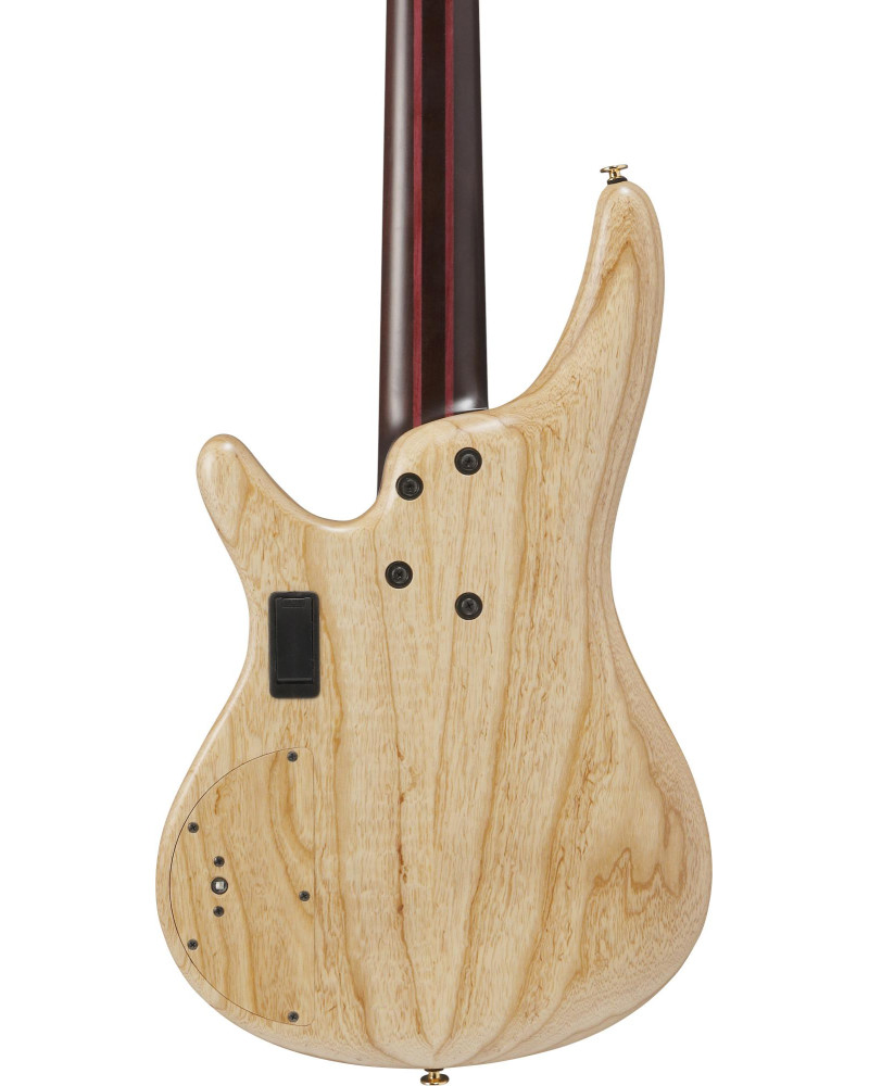 Ibanez IV1SR Visions SR Electric Bass 5-String + Case