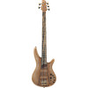 Ibanez IV1SR Visions SR Electric Bass 5-String + Case