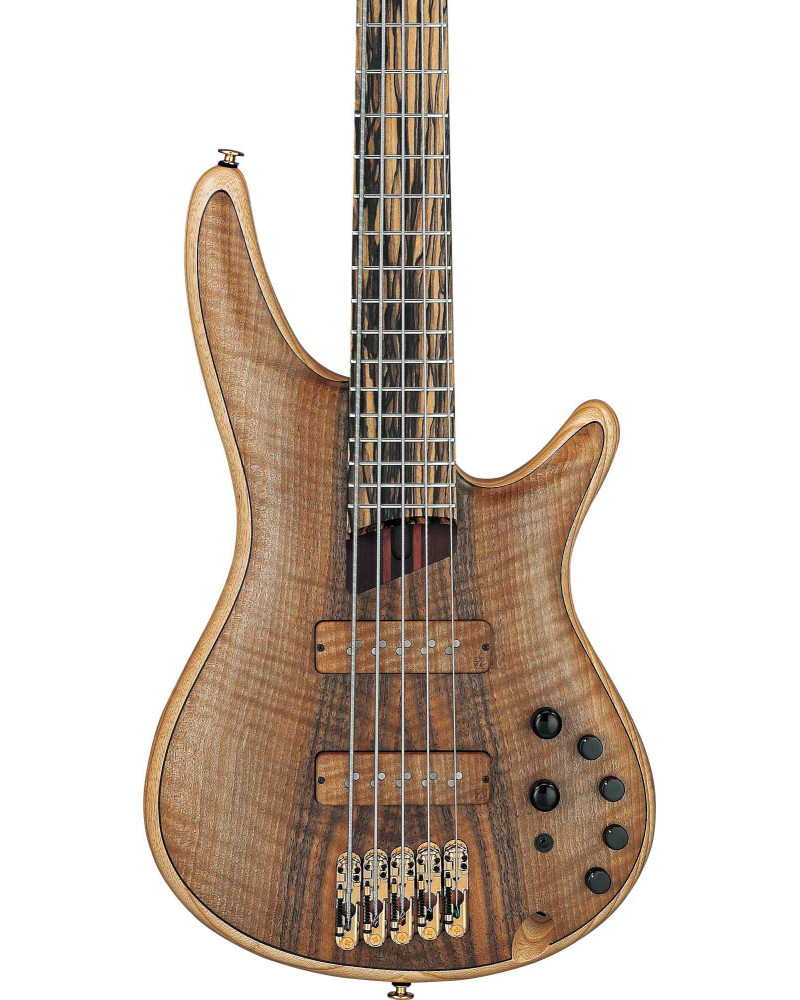 Ibanez IV1SR Visions SR Electric Bass 5-String + Case