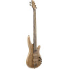 Ibanez IV1SR Visions SR Electric Bass 5-String + Case