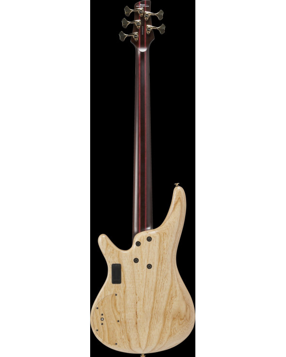 Ibanez IV1SR Visions SR Electric Bass 5-String + Case