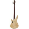 Ibanez IV1SR Visions SR Electric Bass 5-String + Case