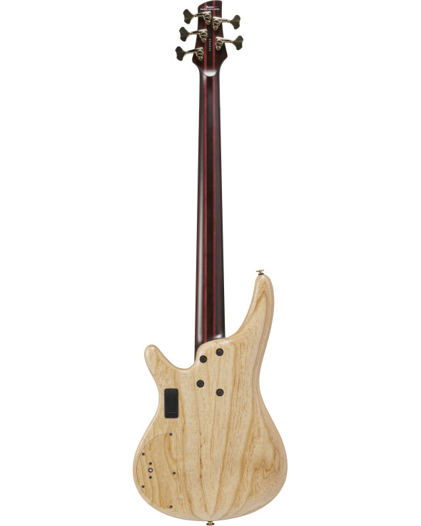 Ibanez IV1SR Visions SR Electric Bass 5-String + Case