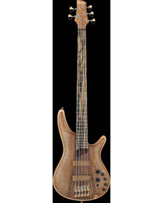 Ibanez IV1SR Visions SR Electric Bass 5-String + Case