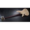 Ibanez IV1SR Visions SR Electric Bass 5-String + Case