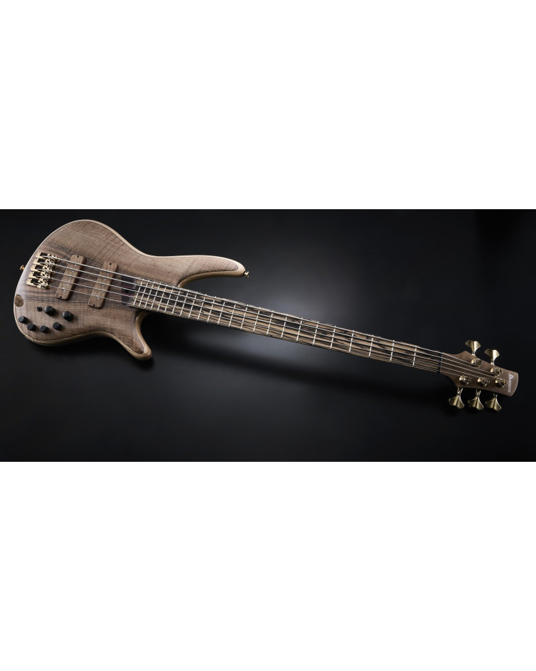 Ibanez IV1SR Visions SR Electric Bass 5-String + Case