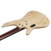 Ibanez IV1SR Visions SR Electric Bass 5-String + Case