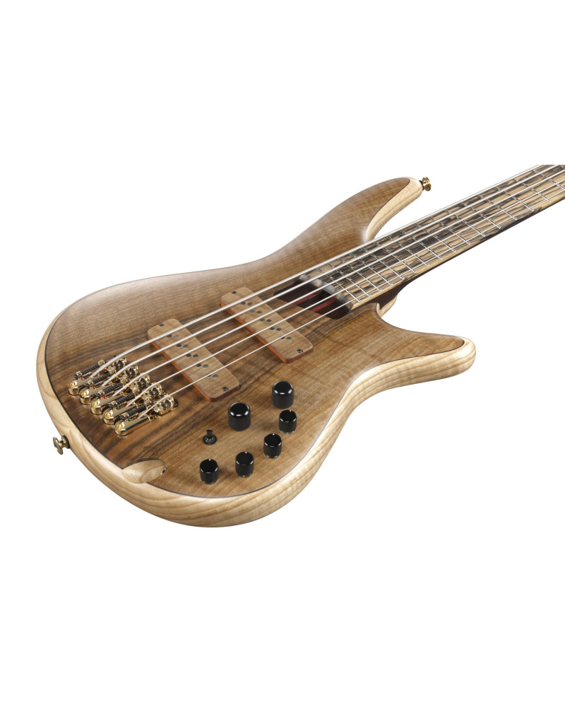 Ibanez IV1SR Visions SR Electric Bass 5-String + Case