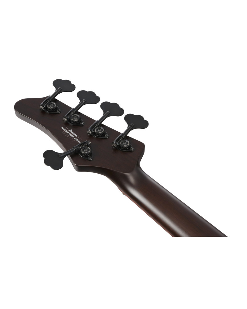 Ibanez IV2MDM Visions MODE Electric Bass 5-String + Case