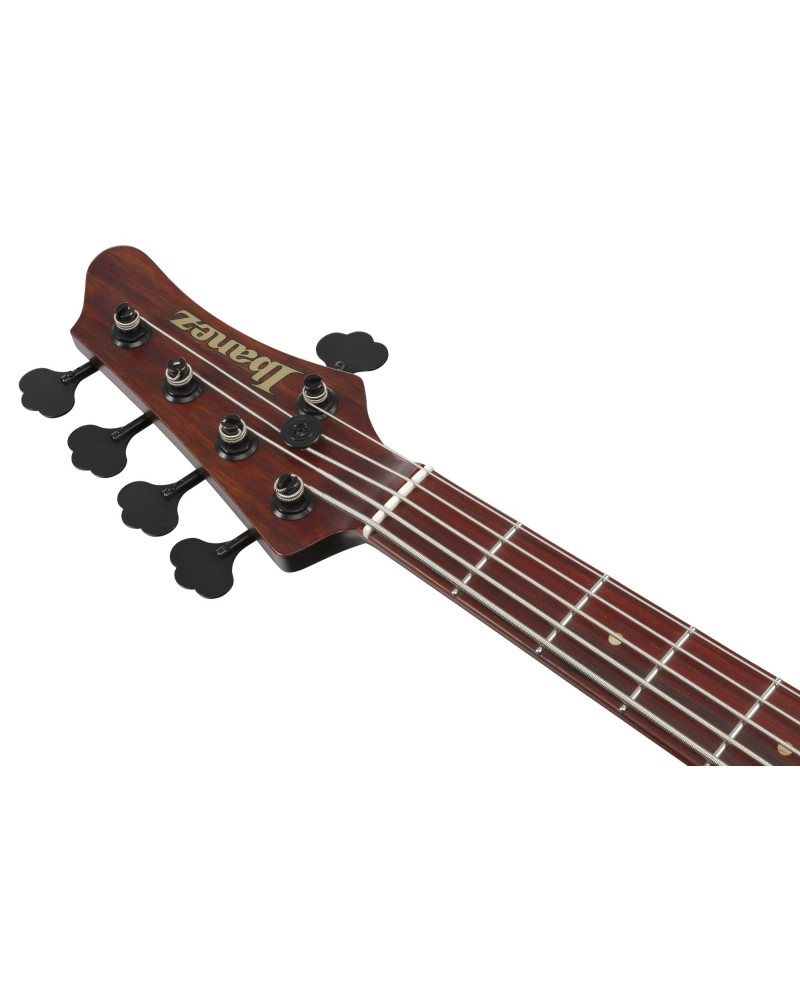 Ibanez IV2MDM Visions MODE Electric Bass 5-String + Case