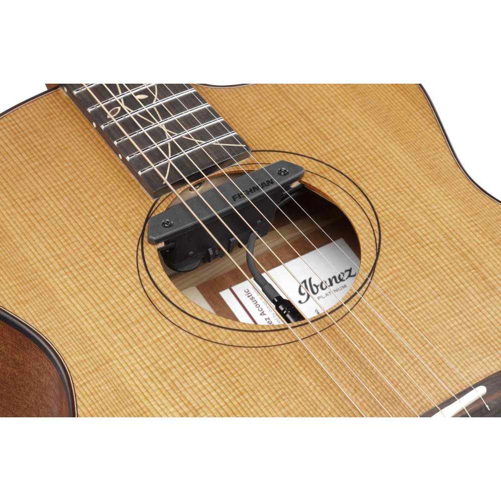 Ibanez JGM11 Jon Gomm Signature Acoustic Guitar 6-String - Natural + Fiberglass Case