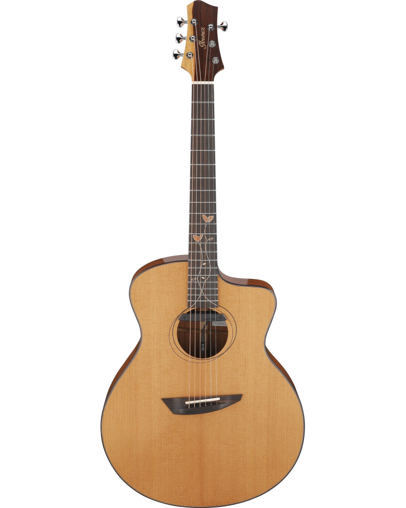 Ibanez JGM11 Jon Gomm Signature Acoustic Guitar 6-String - Natural + Fiberglass Case