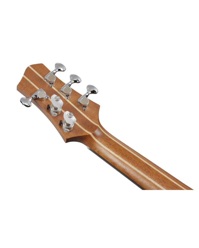 Ibanez JGM11 Jon Gomm Signature Acoustic Guitar 6-String - Natural + Fiberglass Case