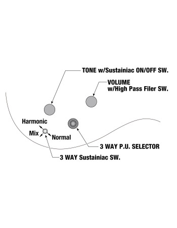 Ibanez JS1GD Joe Satriani Signature Electric Guitar 6-String -