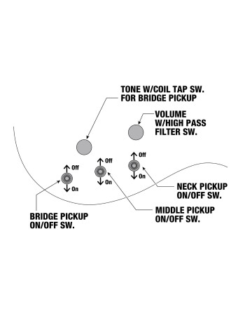 Ibanez JS2GD Joe Satriani Signature Electric Guitar 6-String -