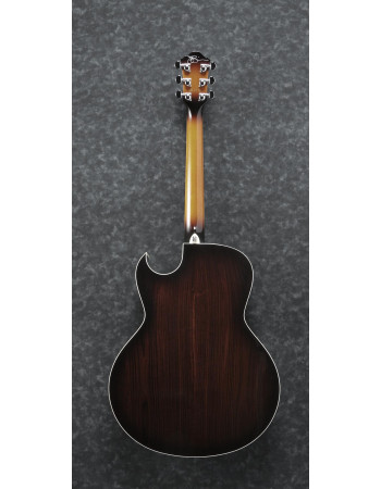 Ibanez JSA20-VB Joe Satriani Signature Acoustic Guitar 6-String - Vintage Burst + Case
