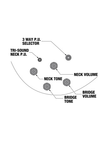 Ibanez JSM10EM-TTB John Scofield Signature Hollow Body Guitar 6-String - Two-tone-Burst
