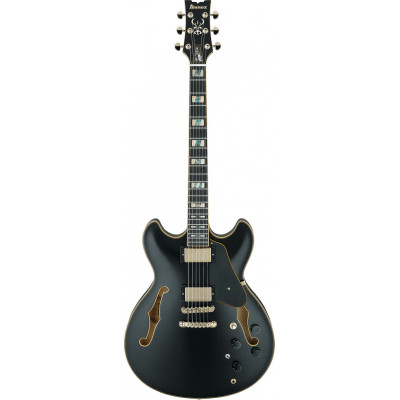 Ibanez JSM20-BKL John Scofield Signature Hollow Body Guitar 6-String - Black Low Gloss + Case MS100C