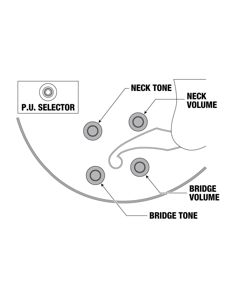 Ibanez LGB300-VYS George Benson Signature Hollow Body Guitar 6-String - Vintage Yellow Sunburst + Case MF100C