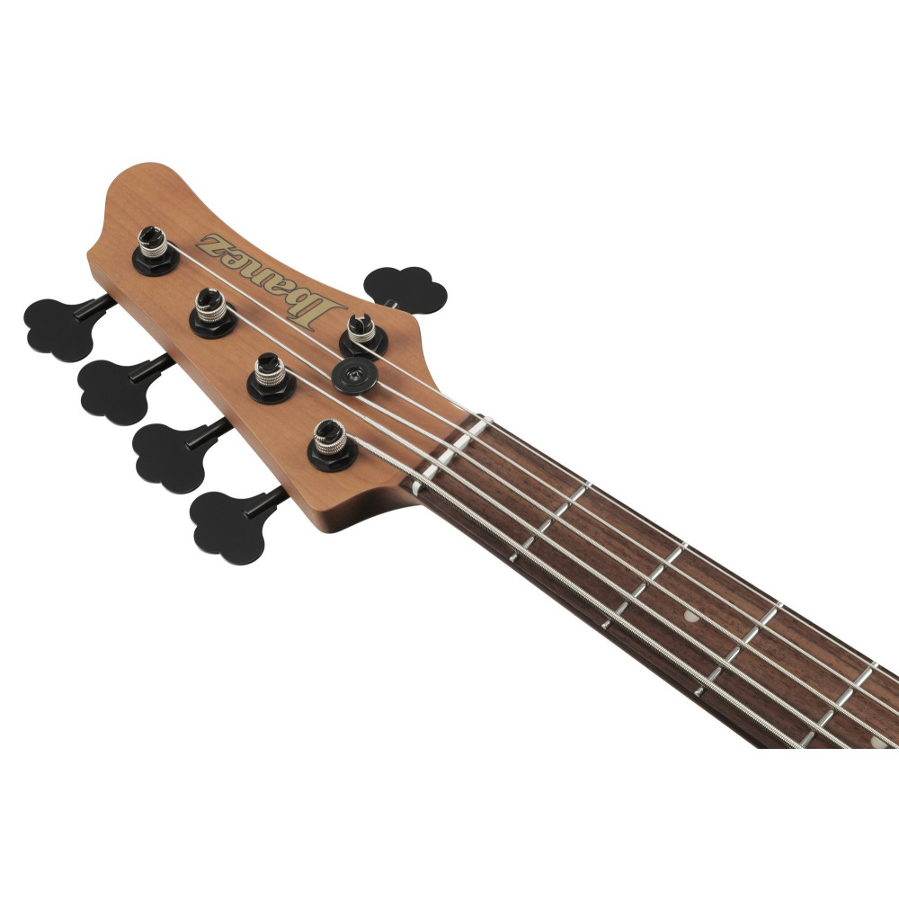 Ibanez MDM1005-MAM MODE Electric Bass 5-String - Midnight Arctic Ocean Matte + Gig Bag
