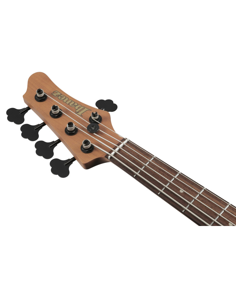 Ibanez MDM1005-MAM MODE Electric Bass 5-String - Midnight Arctic Ocean Matte + Gig Bag