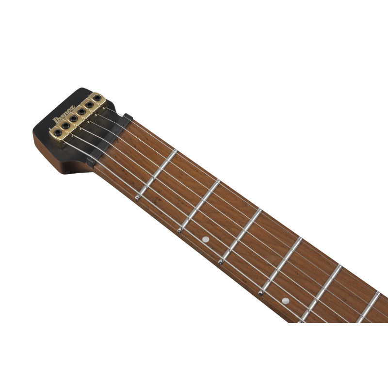 Ibanez MGFM10-OBL Manuel Gardner Fernandes Signature Electric Guitar 6-String - Obsidian Black Low Gloss + Gig Bag