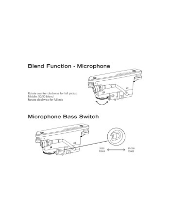 Ibanez MRC10-NT Marcin Signature Acoustic Guitar 6-String - Natural + Gigbag
