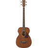 Ibanez PCBE12MH-OPN Performance Acoustic Bass 4-String - Open Pore Natural