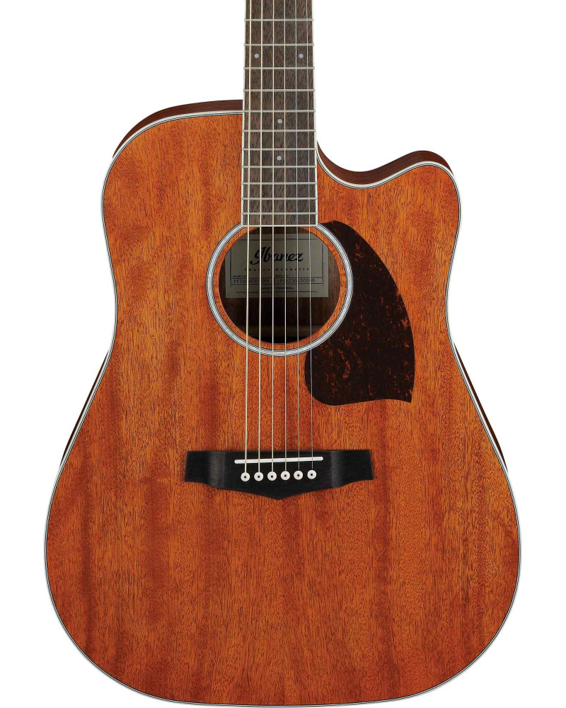 Ibanez PF16MWCE-OPN PF Performance Acoustic Guitar 6-String - Open Pore Natural