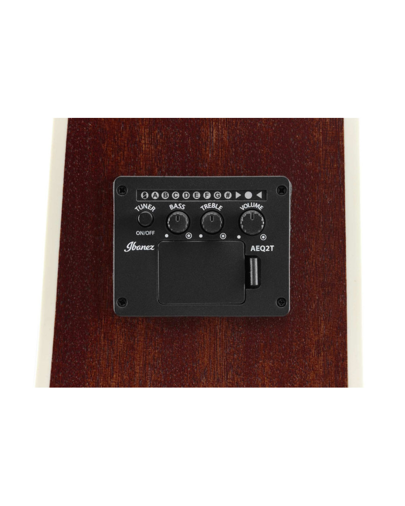 Ibanez PF16MWCE-OPN PF Performance Acoustic Guitar 6-String - Open Pore Natural