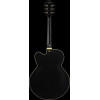 Ibanez PM3C-BKL Pat Metheny Signature Hollow Body Guitar 6-String - Black Low Gloss + Case