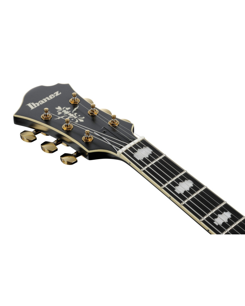 Ibanez PM3C-BKL Pat Metheny Signature Hollow Body Guitar 6-String - Black Low Gloss + Case