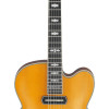 Ibanez PM3C-NAL Pat Metheny Signature Hollow Body Guitar 6-String - Natural + Case