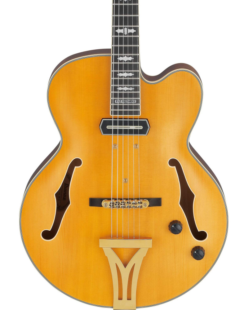 Ibanez PM3C-NAL Pat Metheny Signature Hollow Body Guitar 6-String - Natural + Case