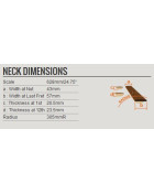 Ibanez PS1CM Paul Stanley 