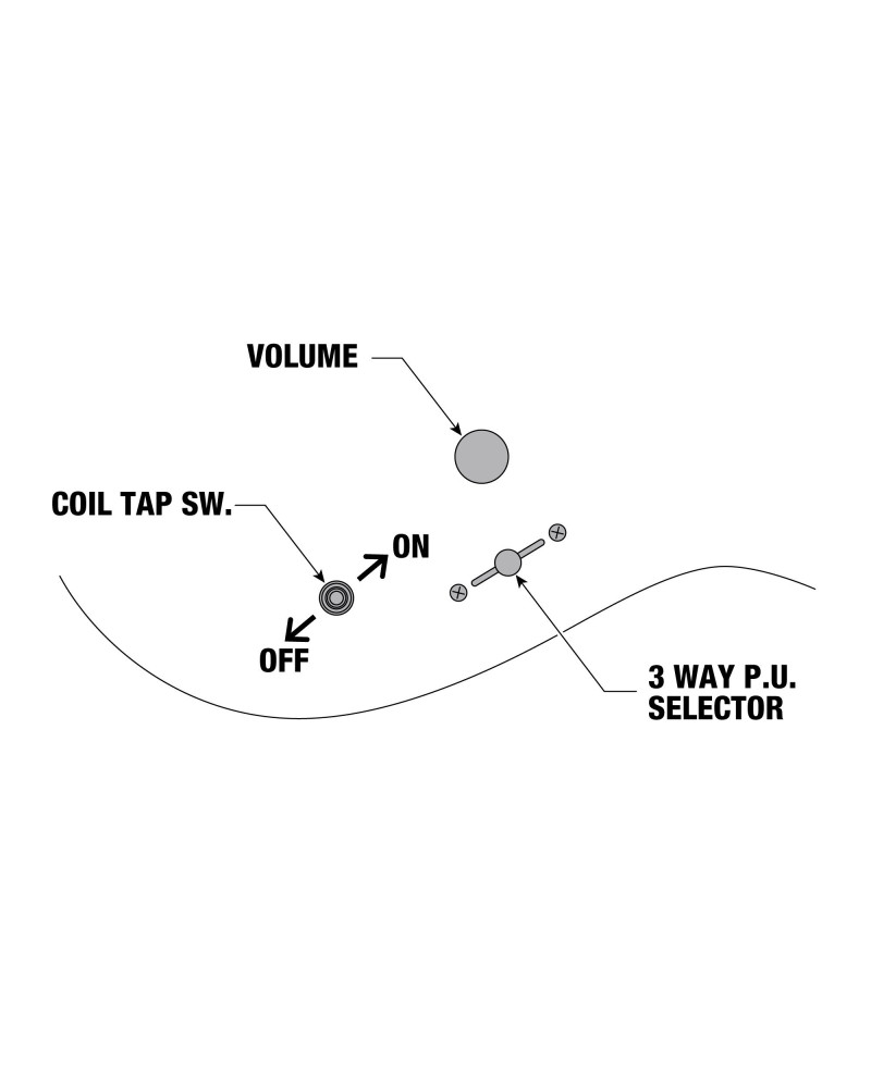 Ibanez PWM20 Paul Waggoner Signature E-Guitar 6 String