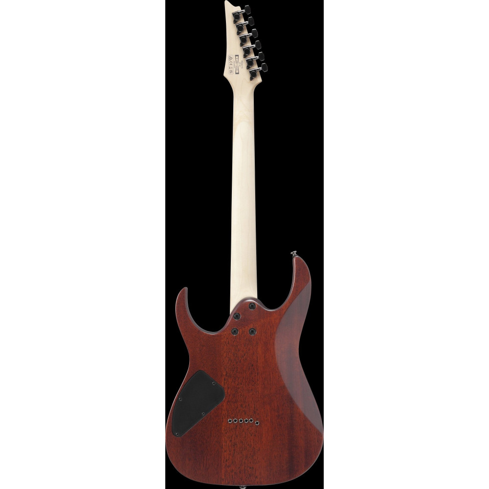 Ibanez RG421S-SEM RG Electric Guitar 6-String - Sea Shore Matte
