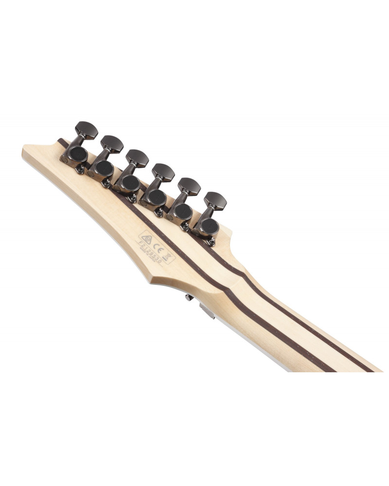 Ibanez RG5120M-PRT Prestige RG Electric Guitar 6-String - Polar Lights + Case